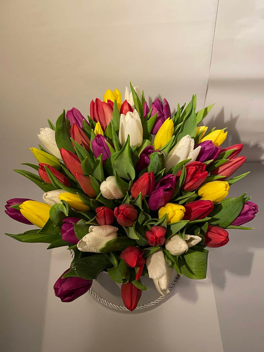 Krabička barevných Tulipánů
