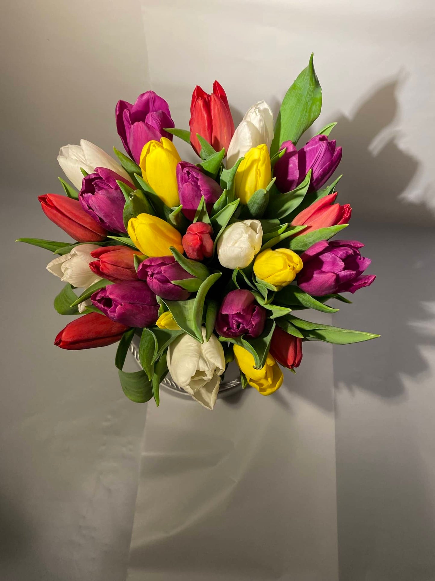 Krabička barevných Tulipánů